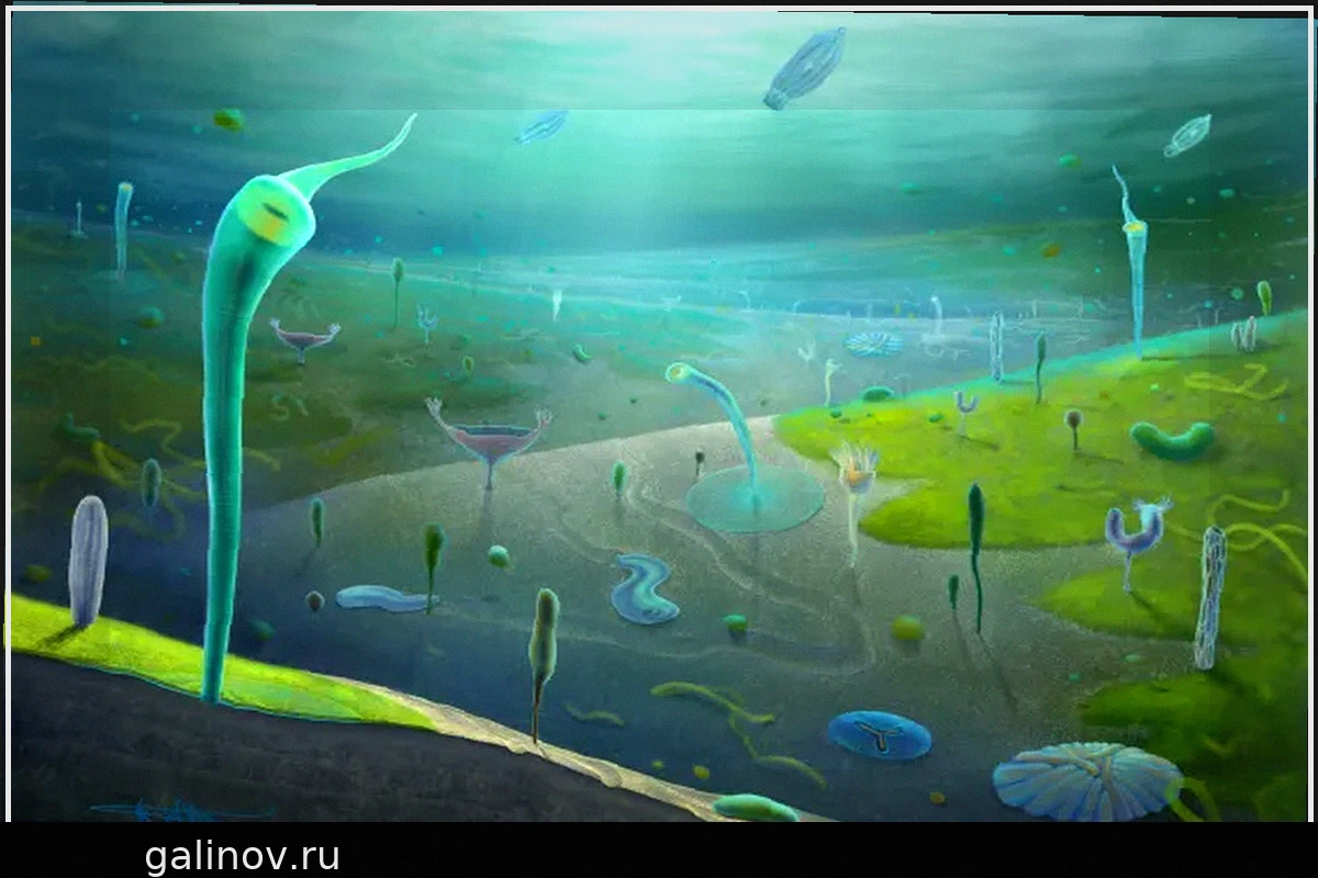 Новые открытия окаменелостей меняют представления: сложные животные существовали задолго до Кембрийского взрыва