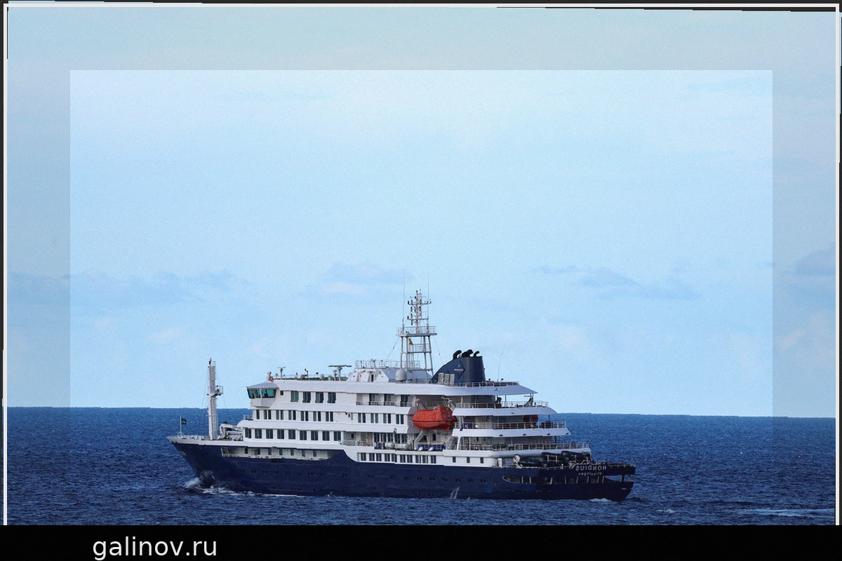 11 случаев хантавируса выявлены на борту лайнера MV Hondius