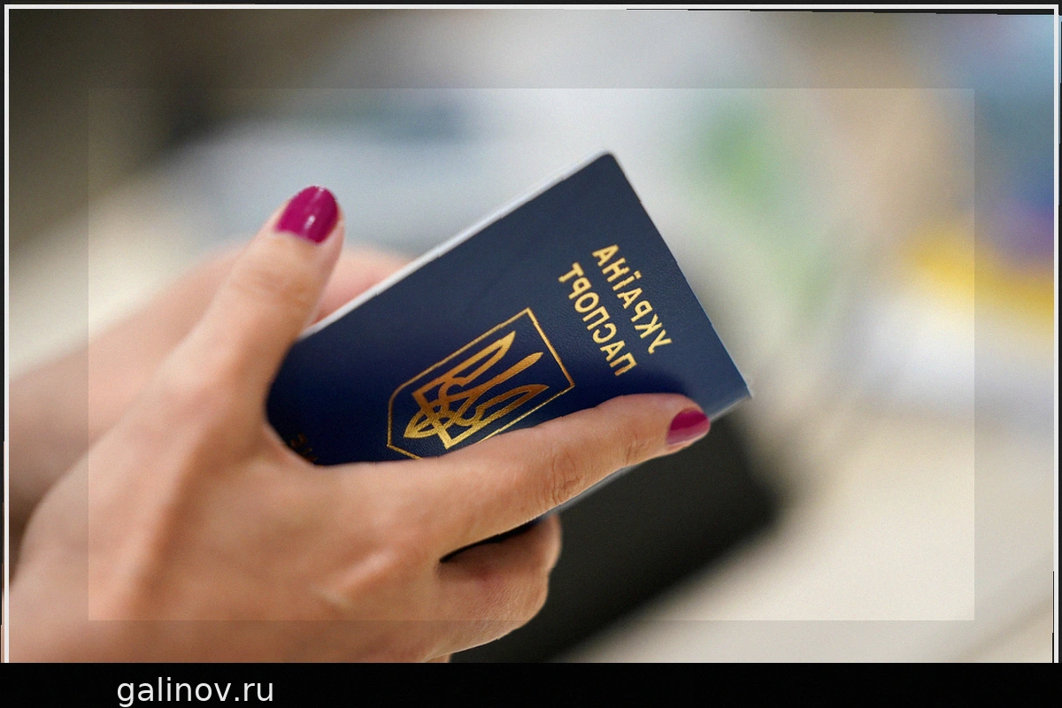 Украинские беженцы вывезли квартиру в Германии: мебель и унитаз исчезли, семья вернулась на родину
