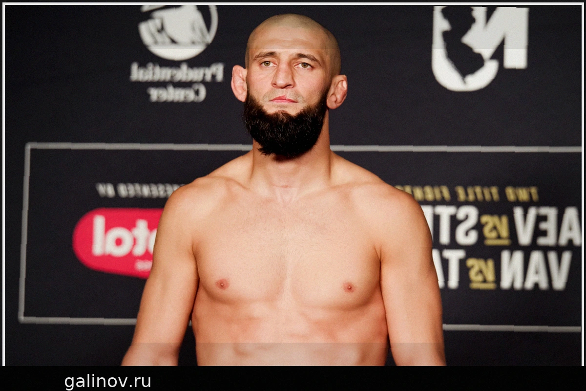 UFC 328: Прогноз букмекеров на бой Хамзата Чимаева и Шона Стрикленда