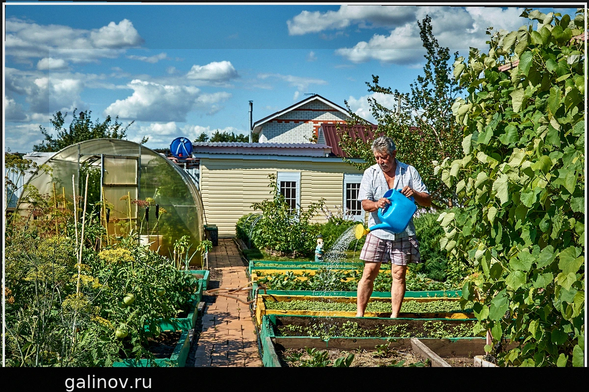 Продажа земельного участка через МФЦ: Удобство и преимущества