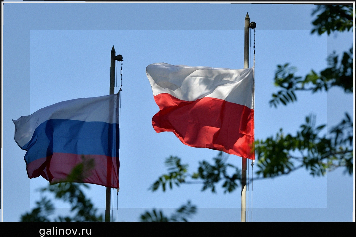 Польские депутаты горячо поспорили о России и будущем НАТО