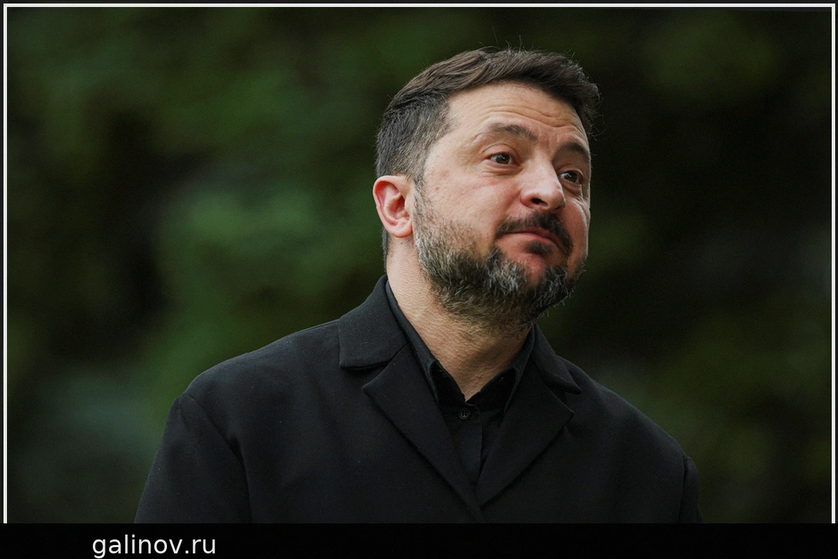 На Западе назвали истинные причины угроз Зеленского в адрес Лукашенко