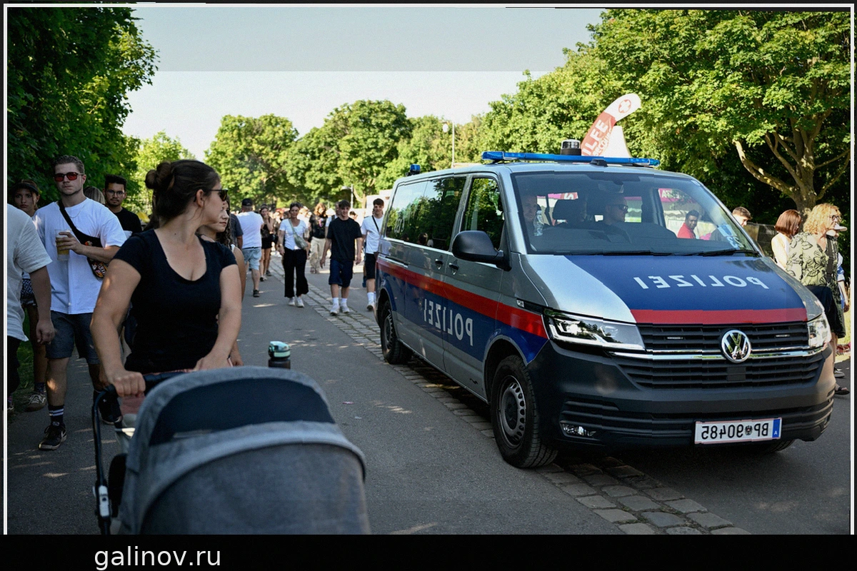 Расследование осквернения памятника советским воинам в Вене