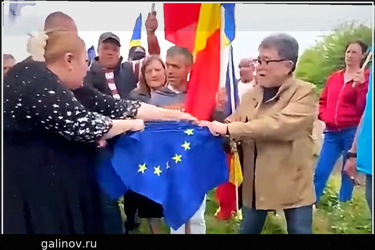Румынский Евродепутат Диана Шошоакэ Разорвала Флаг Евросоюза
