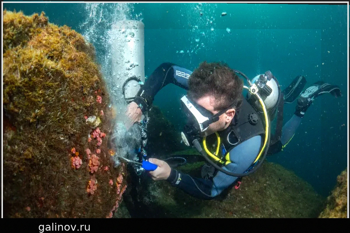 Удаление инвазивных кораллов с помощью воздушных пушек