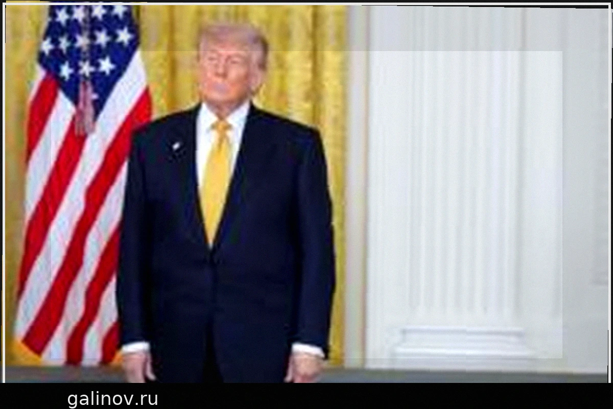 Мировое соглашение Трампа с IRS: Возможность блокировки налоговых проверок для него, его семьи и компаний