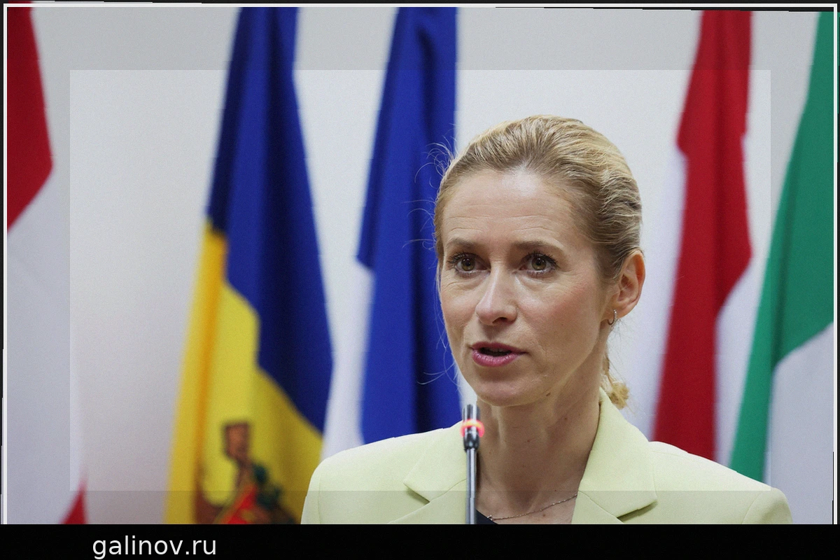 Кая Каллас: НАТО должно сконцентрироваться на оборонных потребностях Украины