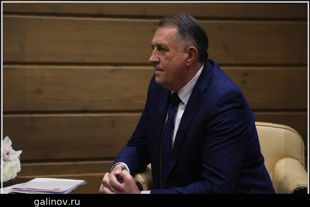 Додик заявил о попытках Зеленского закупить вооружение у боснийских мусульман