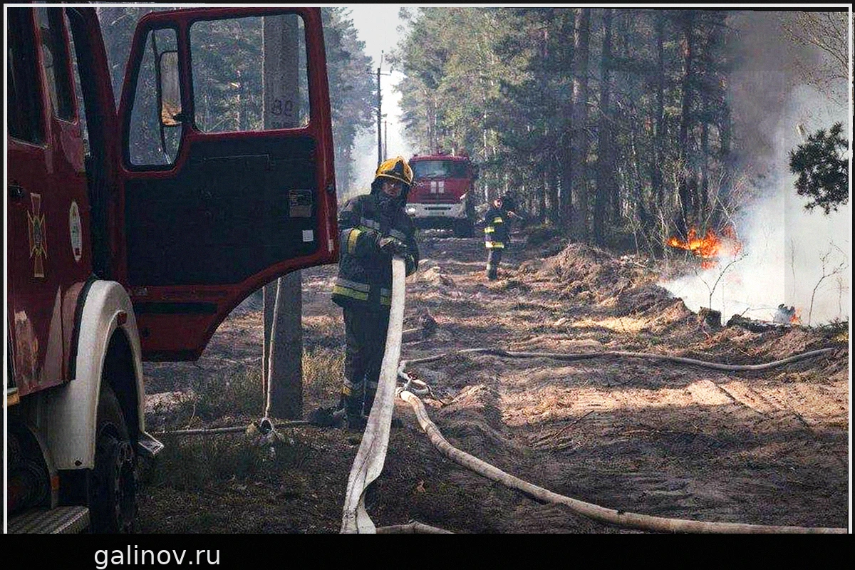 Пожар в Чернобыльской зоне отчуждения: масштаб, сложности и прогнозы