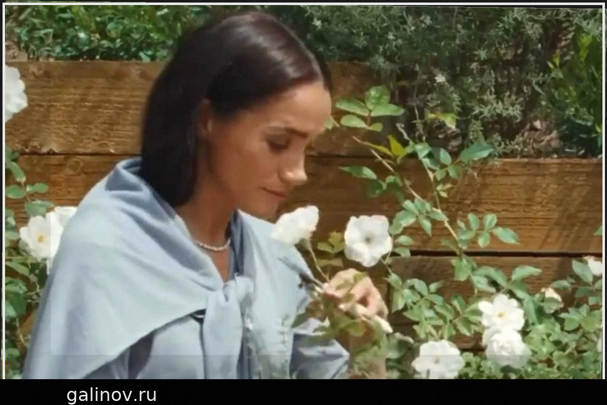 Меган Маркл вызвала гнев публики своим роскошным нарядом в рекламе