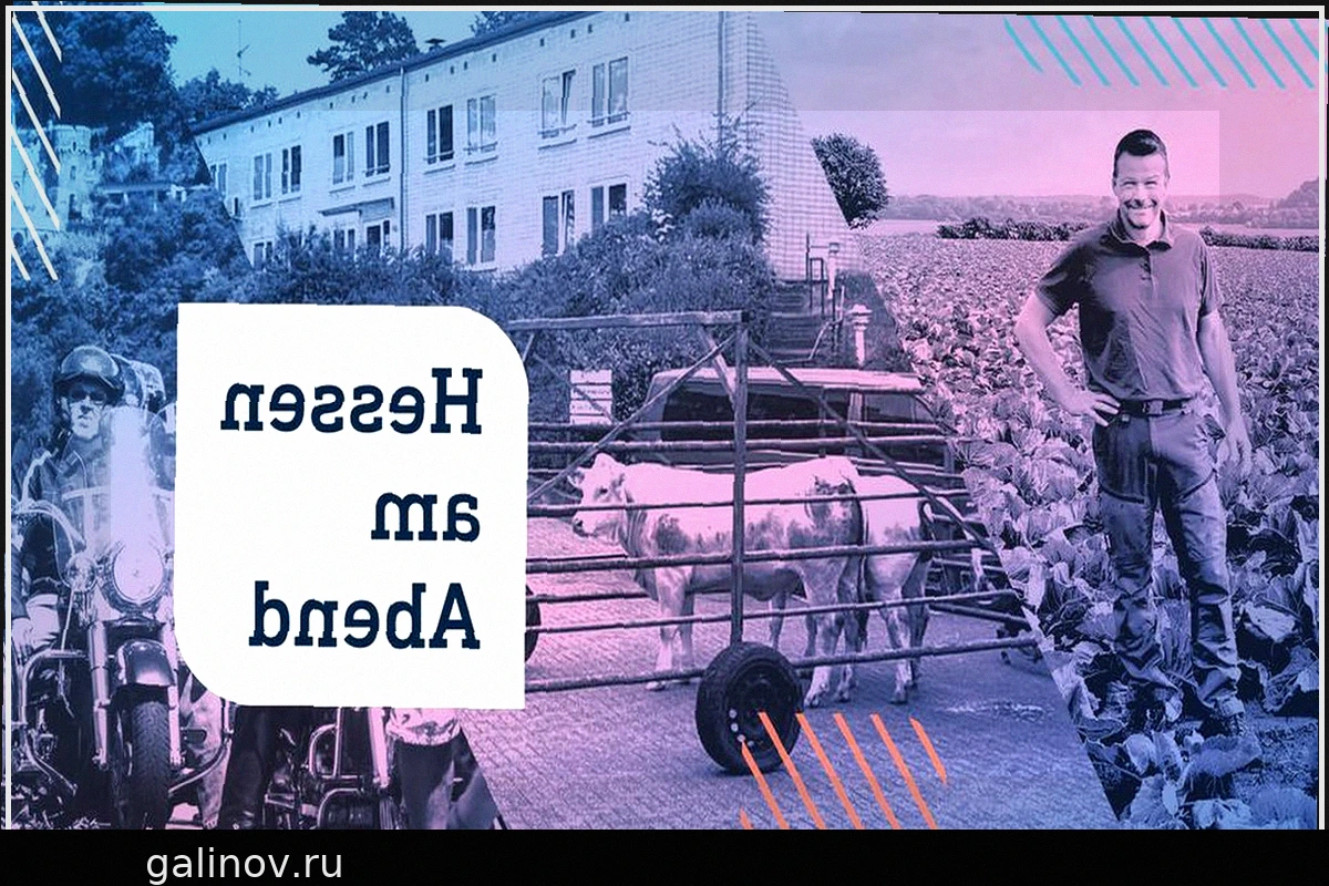 Гессен Вечером: Стадо коров гуляет по больнице – и Рюдесхайм ожидает тысячи байкеров