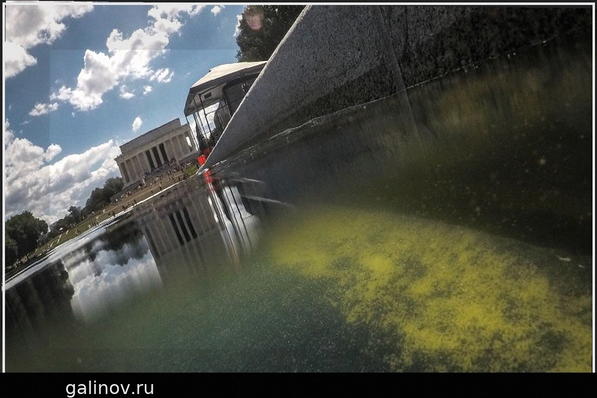 Новые научные данные о массовой гибели водорослей: Открытие, опоздавшее для Зеркального бассейна