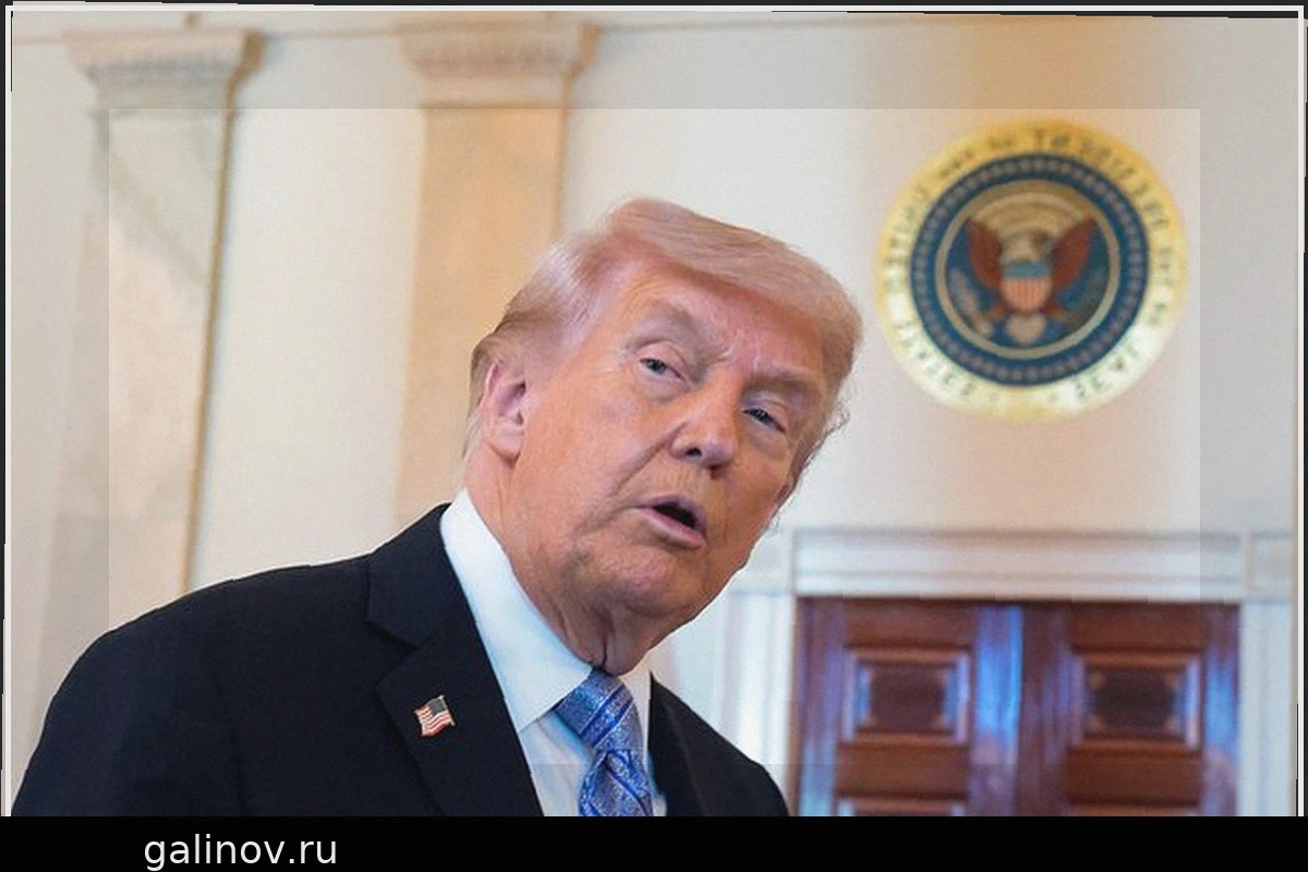Дональд Трамп: США не нуждаются в НАТО, действия альянса разочаровывают