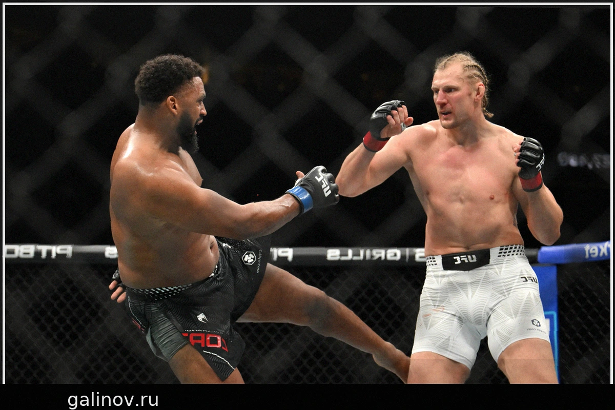 UFC 328: Волков одержал победу, Чимаев потерял титул